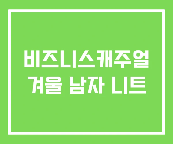 비즈니스캐주얼 겨울 남자 니트 비즈니스캐주얼 겨울 남자 니트