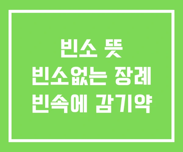 빈소 뜻 빈소없는 장례 빈속에 감기약