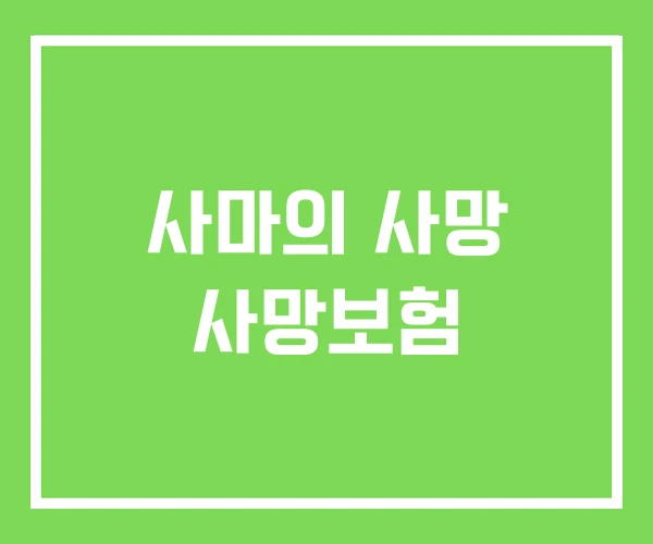 사마의 사망 사망보험