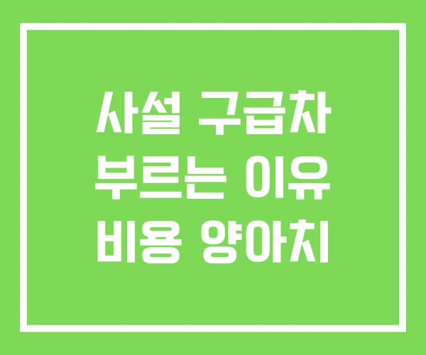 사설 구급차 부르는 이유 비용 양아치 사설 구급차 부르는 이유 비용 양아치