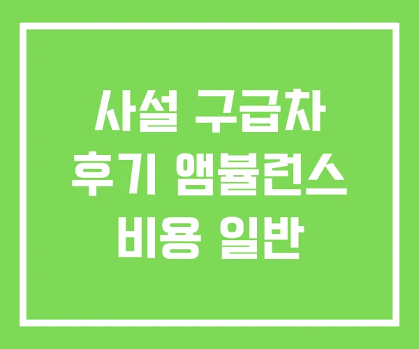 사설 구급차 후기 앰뷸런스 비용 일반 사설 구급차 후기 앰뷸런스 비용 일반