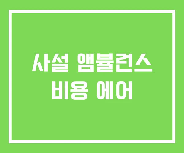 사설 앰뷸런스 비용 에어 사설 앰뷸런스 비용 에어