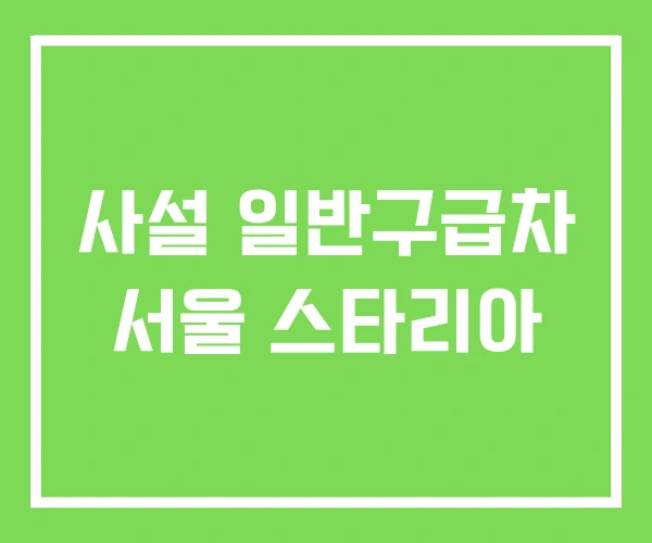 사설 일반구급차 서울 스타리아 사설 일반구급차 서울 스타리아