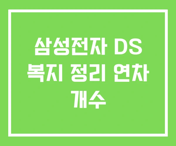 삼성전자 DS 복지 정리 연차 개수