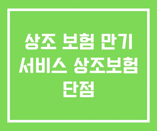 상조 보험 만기 서비스 상조보험 단점