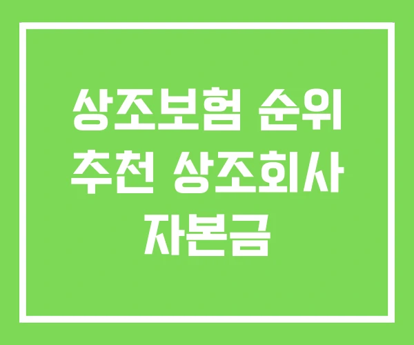 상조보험 순위 추천 상조회사 자본금 상조보험 순위 추천 상조회사 자본금