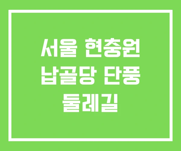 서울 현충원 납골당 단풍 둘레길 서울 현충원 납골당 단풍 둘레길