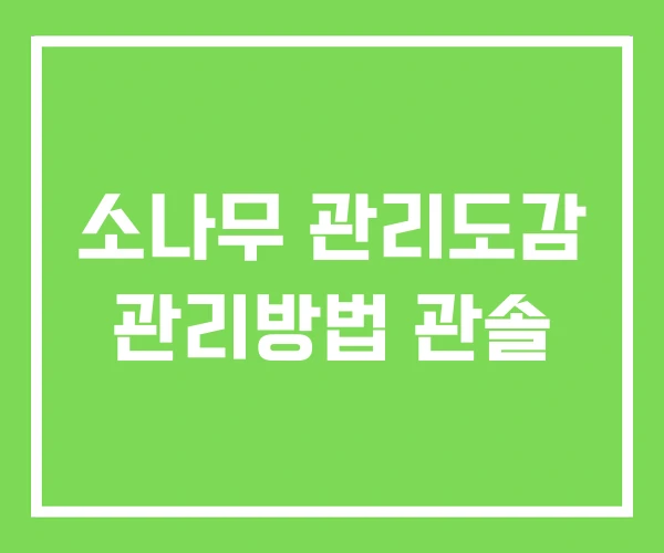 소나무 관리도감 관리방법 관솔