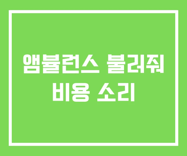 앰뷸런스 불러줘 비용 소리