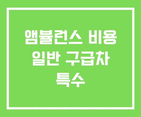 앰뷸런스 비용 일반 구급차 특수 앰뷸런스 비용 일반 구급차 특수