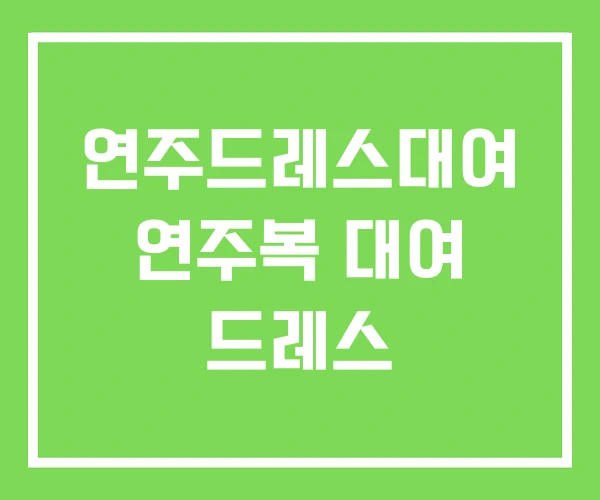 연주드레스대여 연주복 대여 드레스