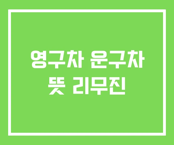 영구차 운구차 뜻 리무진