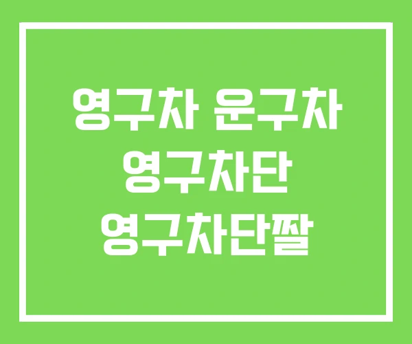 영구차 운구차 영구차단 영구차단짤