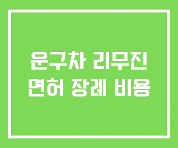 운구차 리무진 면허 장례 비용