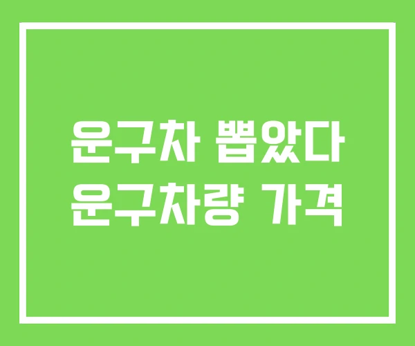 운구차 뽑았다 운구차량 가격