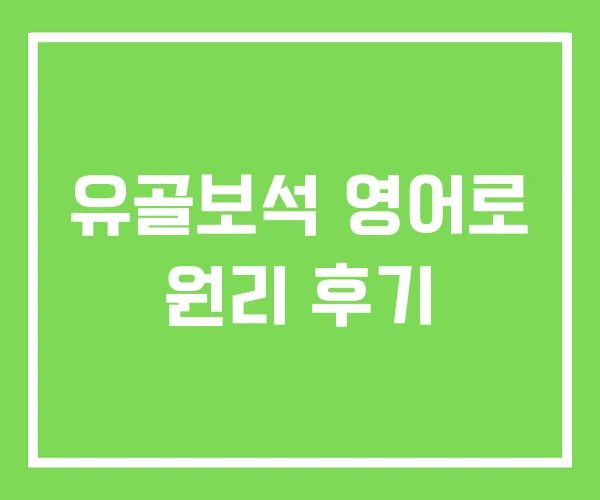 유골보석 영어로 원리 후기 유골보석 영어로 원리 후기