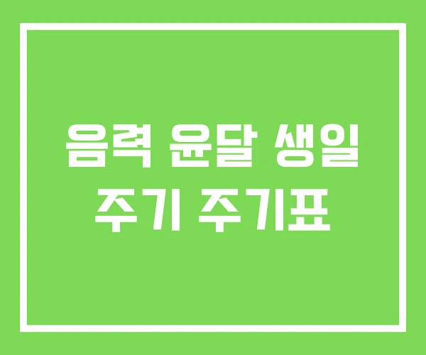 음력 윤달 생일 주기 주기표 음력 윤달 생일 주기 주기표