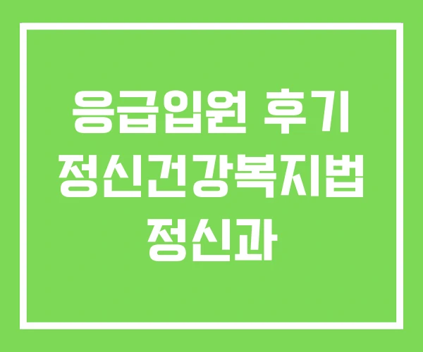 응급입원 후기 정신건강복지법 정신과 응급입원 후기 정신건강복지법 정신과