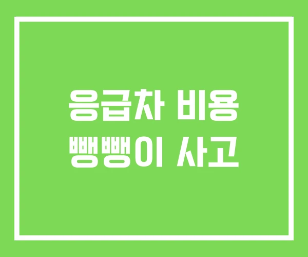 응급차 비용 뺑뺑이 사고