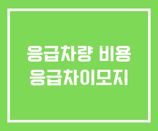 응급차량 비용 응급차이모지 응급차량 비용 응급차이모지