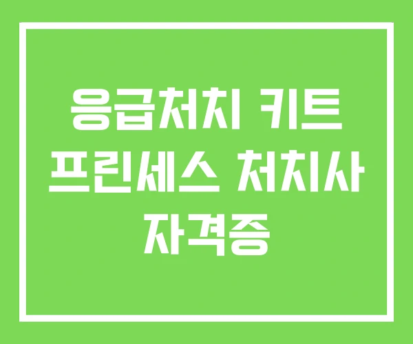 응급처치 키트 프린세스 처치사 자격증