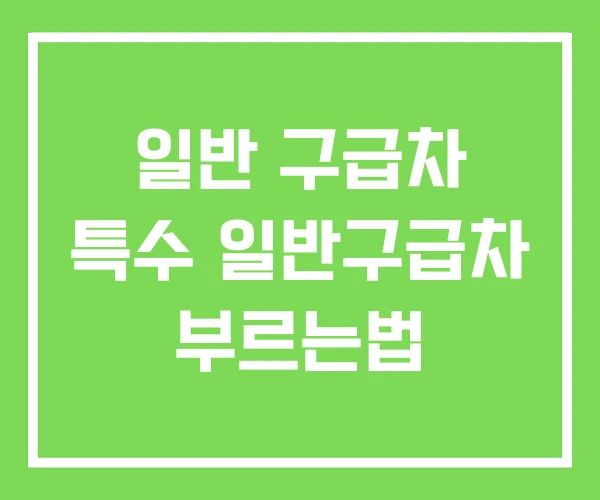 일반 구급차 특수 일반구급차 부르는법 일반 구급차 특수 일반구급차 부르는법
