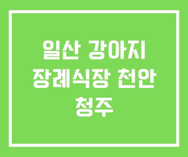 일산 강아지 장례식장 천안 청주