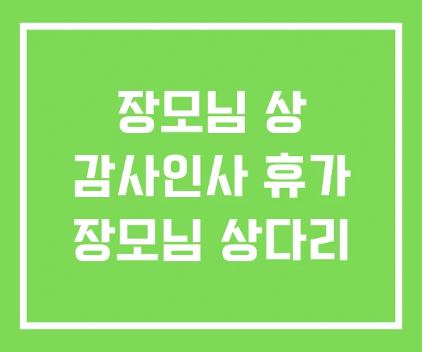 장모님 상 감사인사 휴가 장모님 상다리