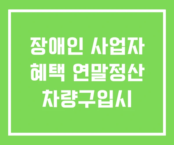 장애인 사업자 혜택 연말정산 차량구입시 장애인 사업자 혜택 연말정산 차량구입시