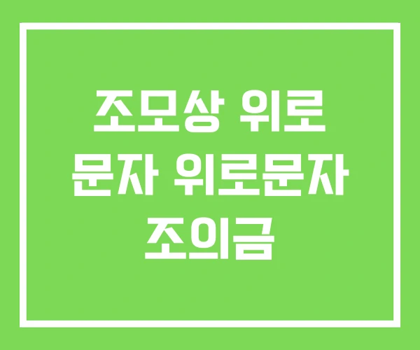 조모상 위로 문자 위로문자 조의금 조모상 위로 문자 위로문자 조의금
