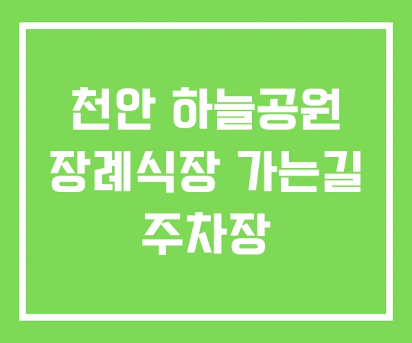 천안 하늘공원 장례식장 가는길 주차장 천안 하늘공원 장례식장 가는길 주차장