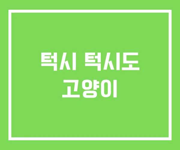 턱시 턱시도 고양이 턱시 턱시도 고양이