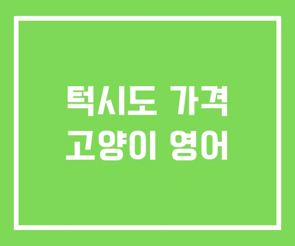 턱시도 가격 고양이 영어