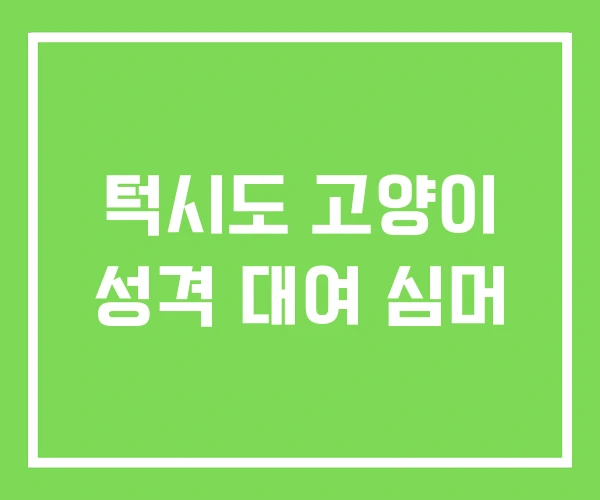 턱시도 고양이 성격 대여 심머