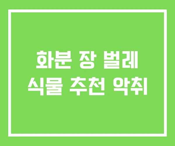 화분 장 벌레 식물 추천 악취 화분 장 벌레 식물 추천 악취