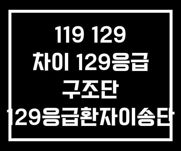 119 129 차이 129응급 구조단 129응급환자이송단