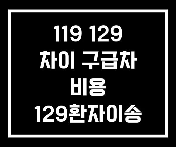 119 129 차이 구급차 비용 129환자이송