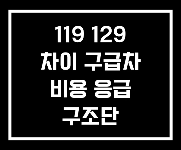 119 129 차이 구급차 비용 응급 구조단