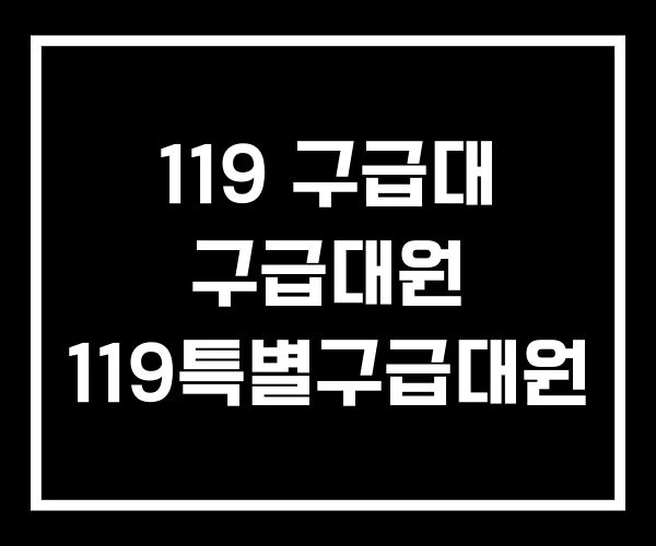 119 구급대 구급대원 119특별구급대원