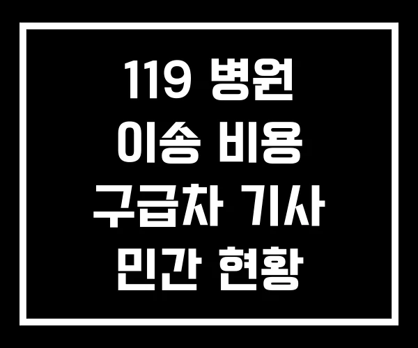 119 병원 이송 비용 구급차 기사 민간 현황