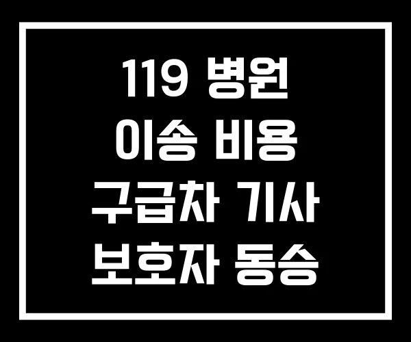 119 병원 이송 비용 구급차 기사 보호자 동승 인원
