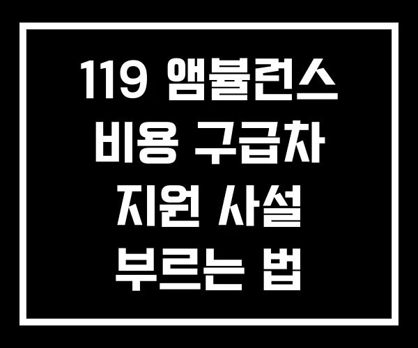 119 앰뷸런스 비용 구급차 지원 사설 부르는 법