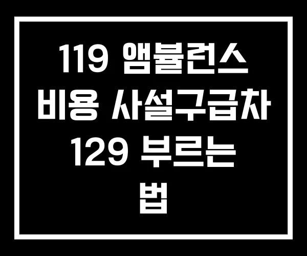119 앰뷸런스 비용 사설구급차 129 부르는 법