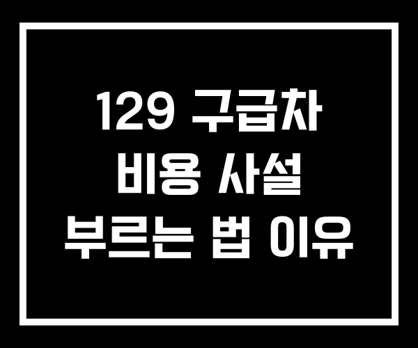 129 구급차 비용 사설 부르는 법 이유