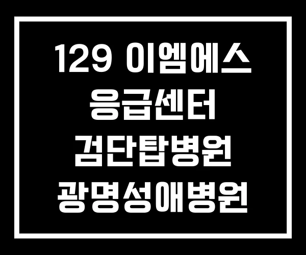 129 이엠에스 응급센터 검단탑병원 광명성애병원