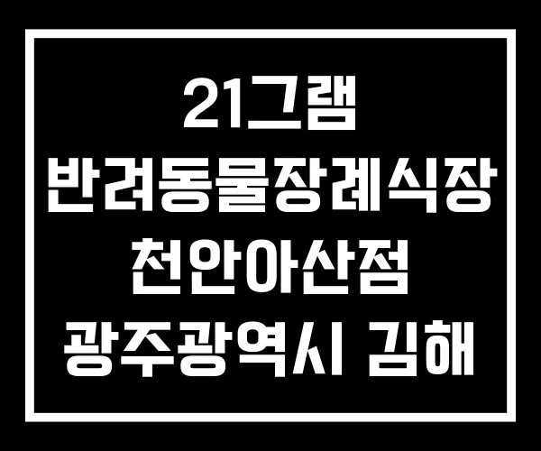 21그램 반려동물장례식장 천안아산점 광주광역시 김해