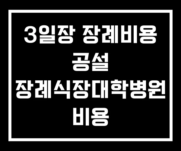 3일장 장례비용 공설 장례식장대학병원 비용