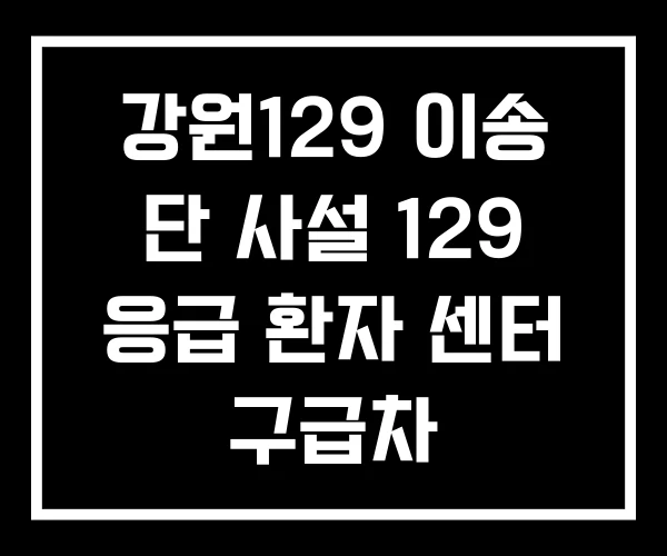 강원129 이송 단 사설 129 응급 환자 센터 구급차 강원129 이송 단 사설 129 응급 환자 센터 구급차