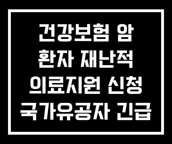 건강보험 암 환자 재난적 의료지원 신청 국가유공자 긴급