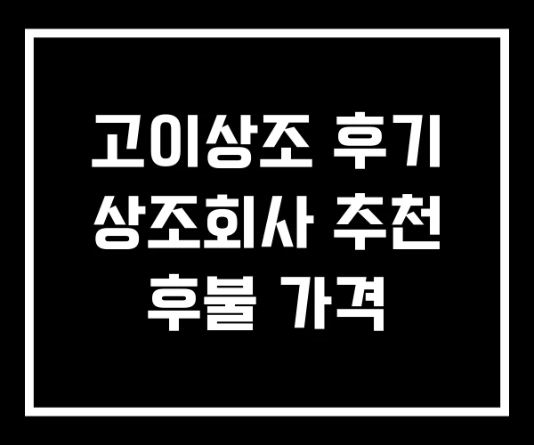 고이상조 후기 상조회사 추천 후불 가격 고이상조 후기 상조회사 추천 후불 가격